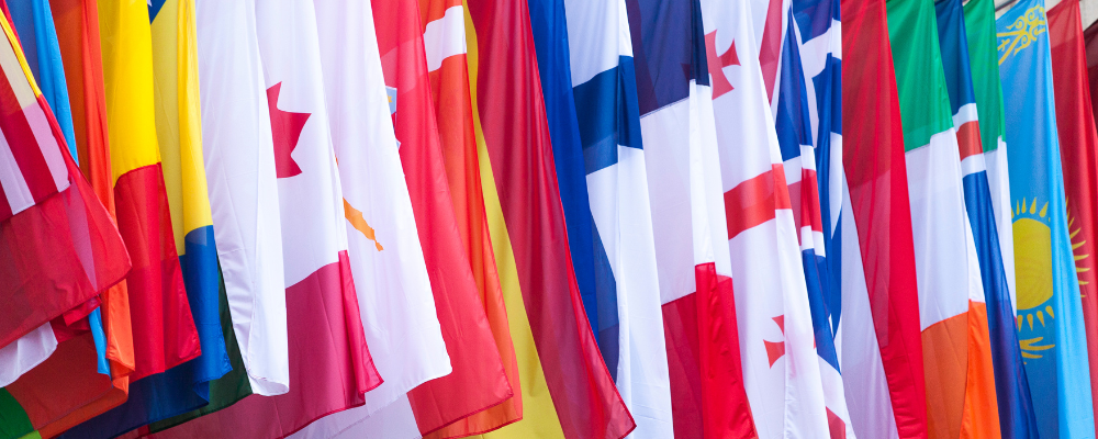 international students holding flags