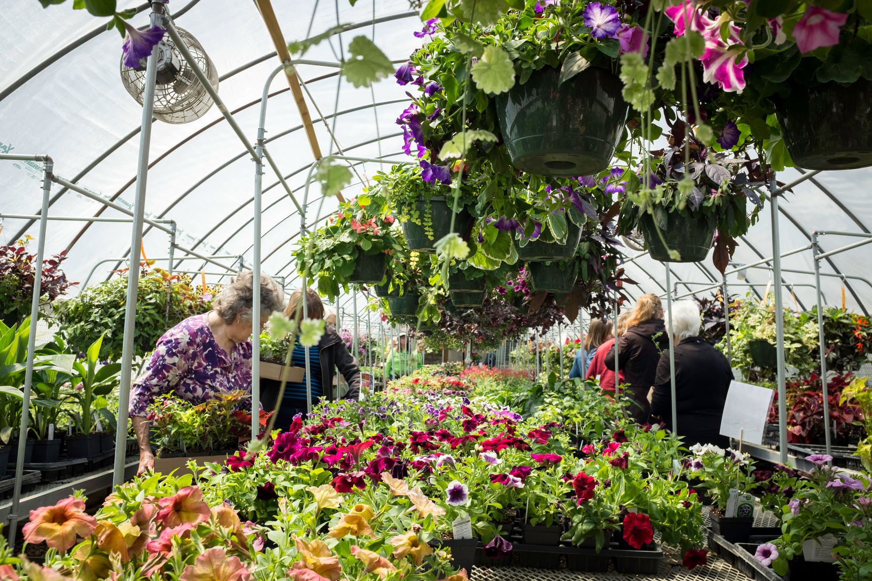 HTC Spring Plant Sale Greenhouse